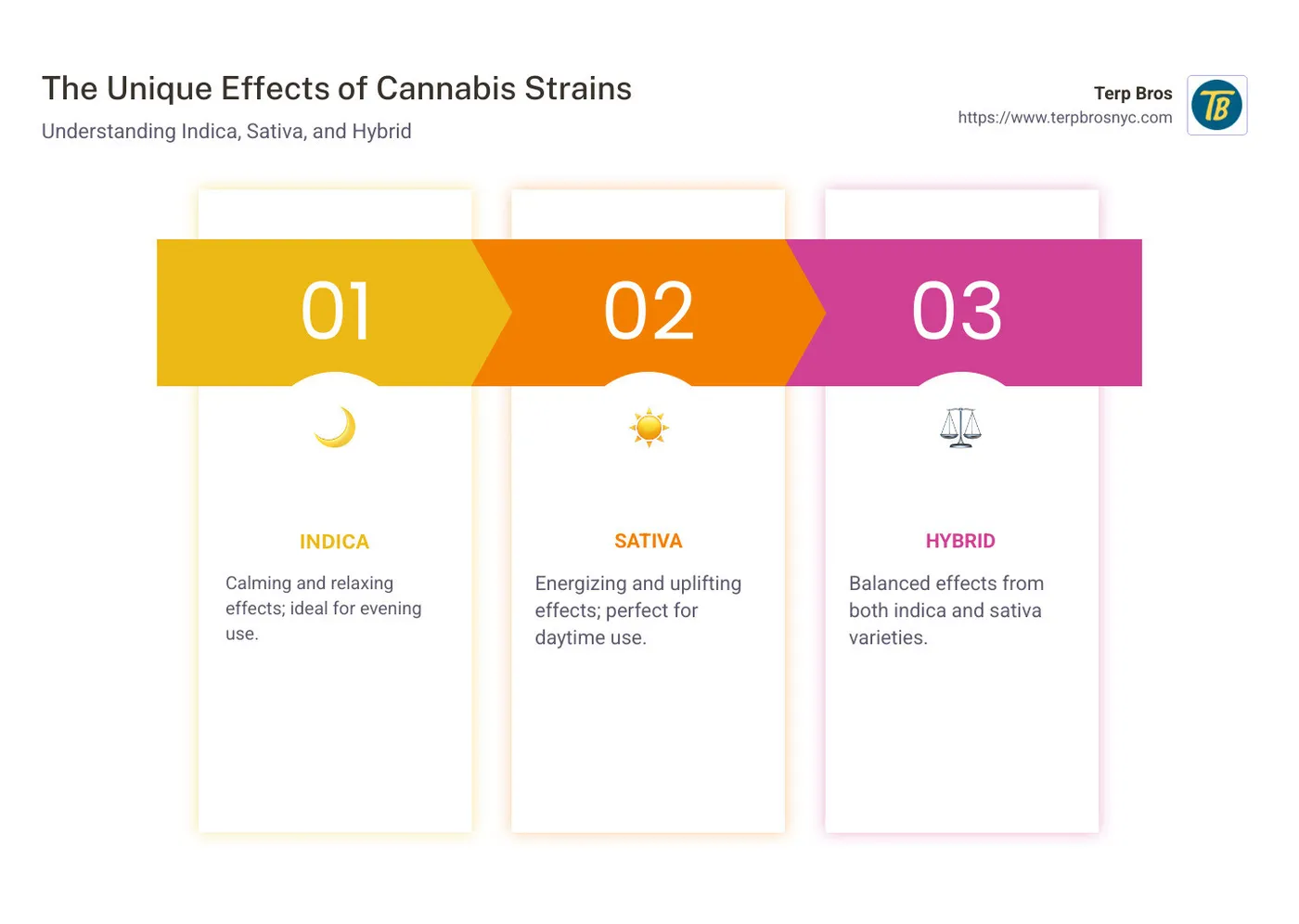 Infographic: Effects and Experiences of Cannabis Strains - cannabis strains infographic pillar-3-steps