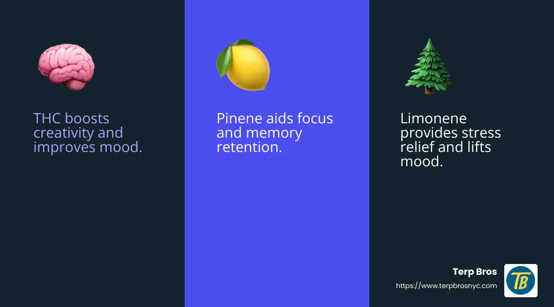 Understanding the effects of cannabis components - cannabis strains infographic 3_facts_emoji_blue