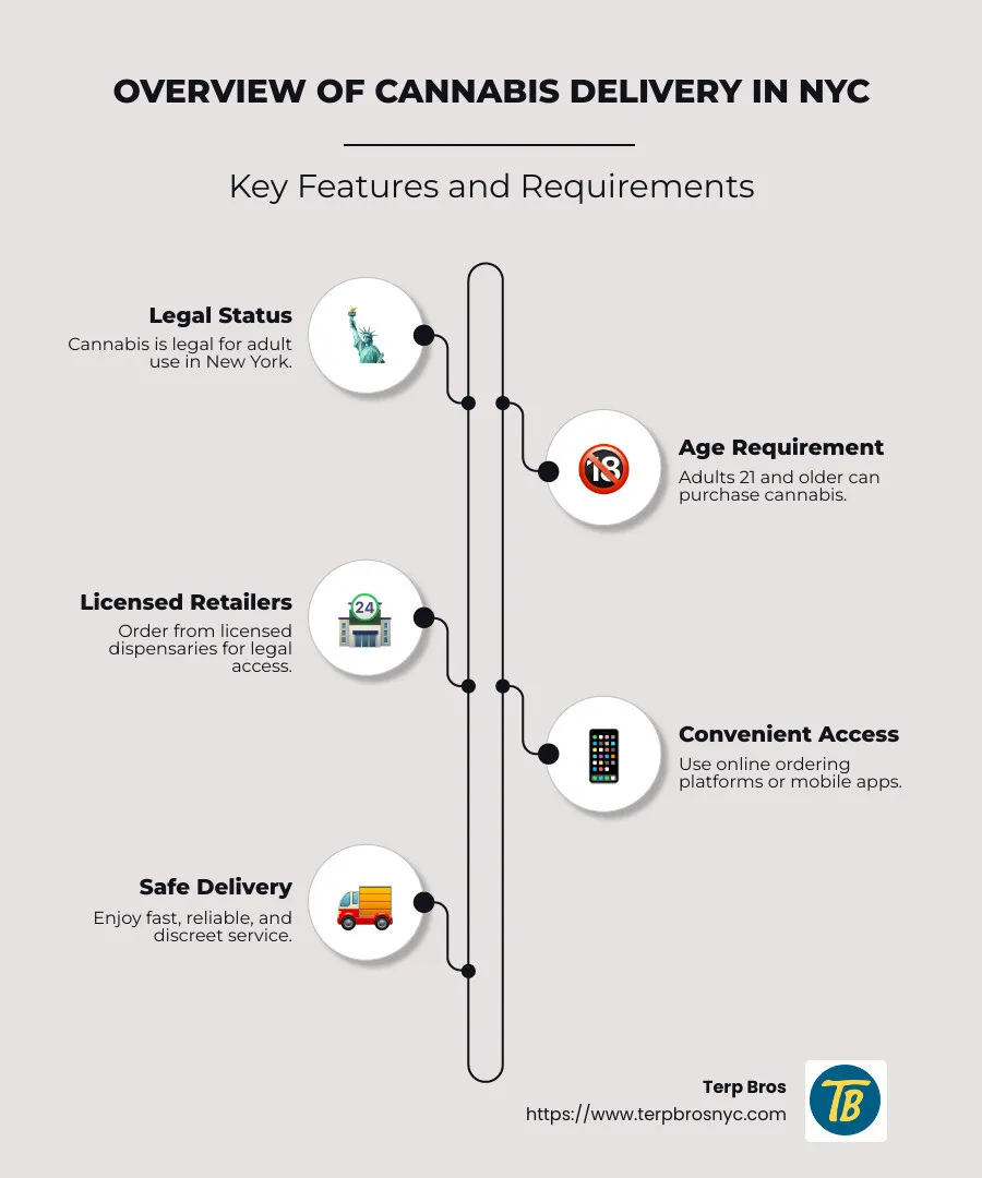 Overview of cannabis delivery in NYC, with key features like legal status, age requirement, licensed retailers, and safety practices clearly highlighted - bud delivery nyc infographic infographic-line-5-steps-neat_beige