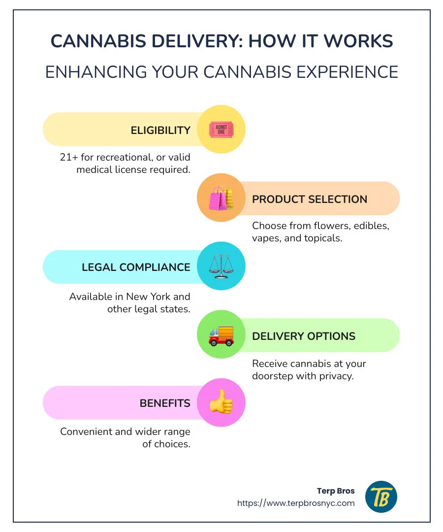 Detailed infographic on cannabis delivery logistics and benefits - cannabis delivery infographic infographic-line-5-steps-colors