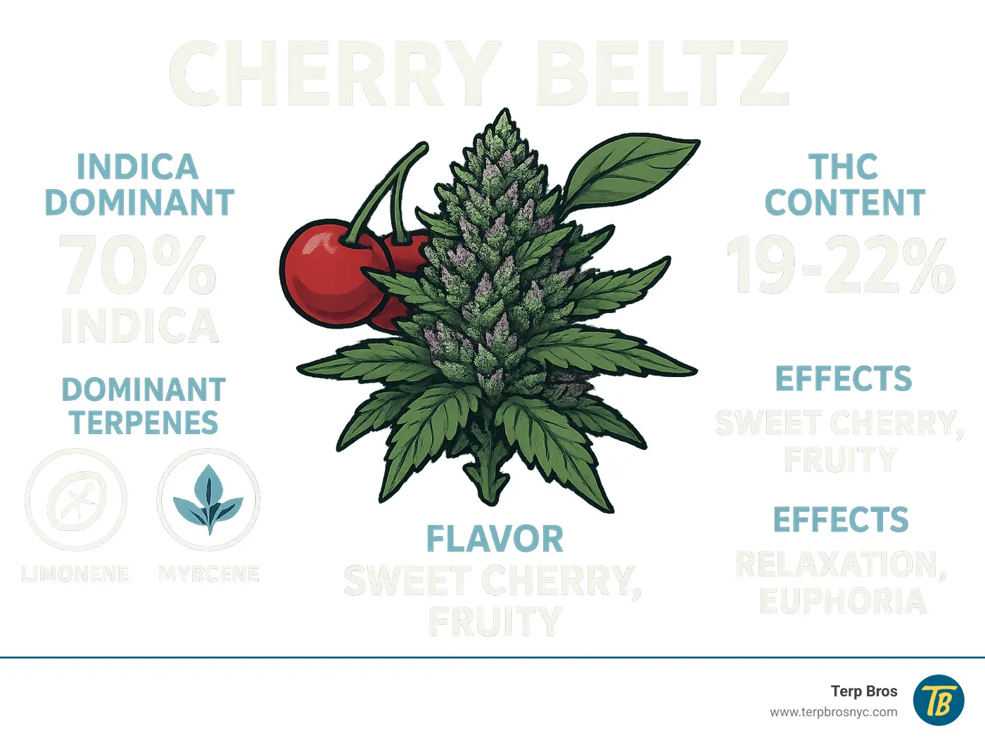 Detailed infographic showing Cherry Beltz strain characteristics including 70% indica dominance, 19-22% THC content, dominant terpenes like limonene and myrcene, sweet cherry and fruity flavor profile, and primary effects of relaxation and euphoria - cherry beltz strain infographic