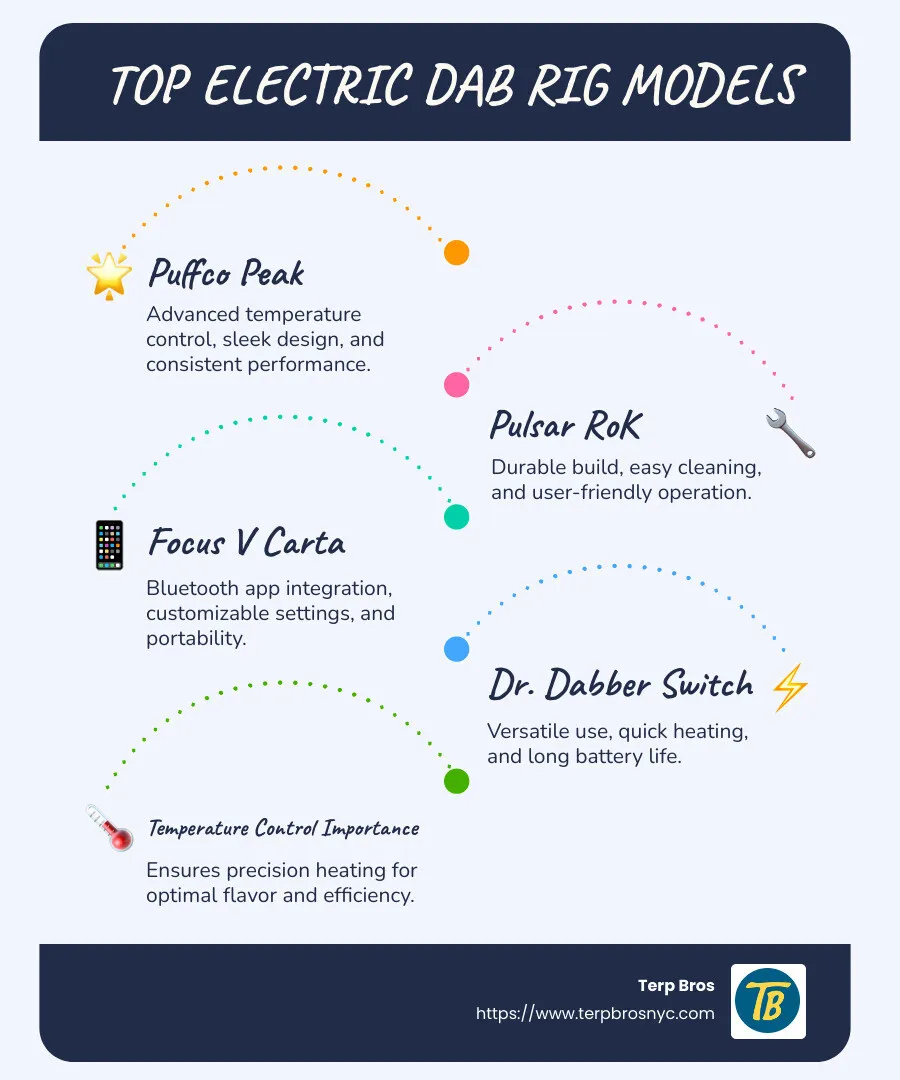 Infographic comparing top electric dab rigs with key features such as temperature control, battery life, and ease of use labeled clearly - electric dab rig infographic infographic-line-5-steps-blues-accent_colors