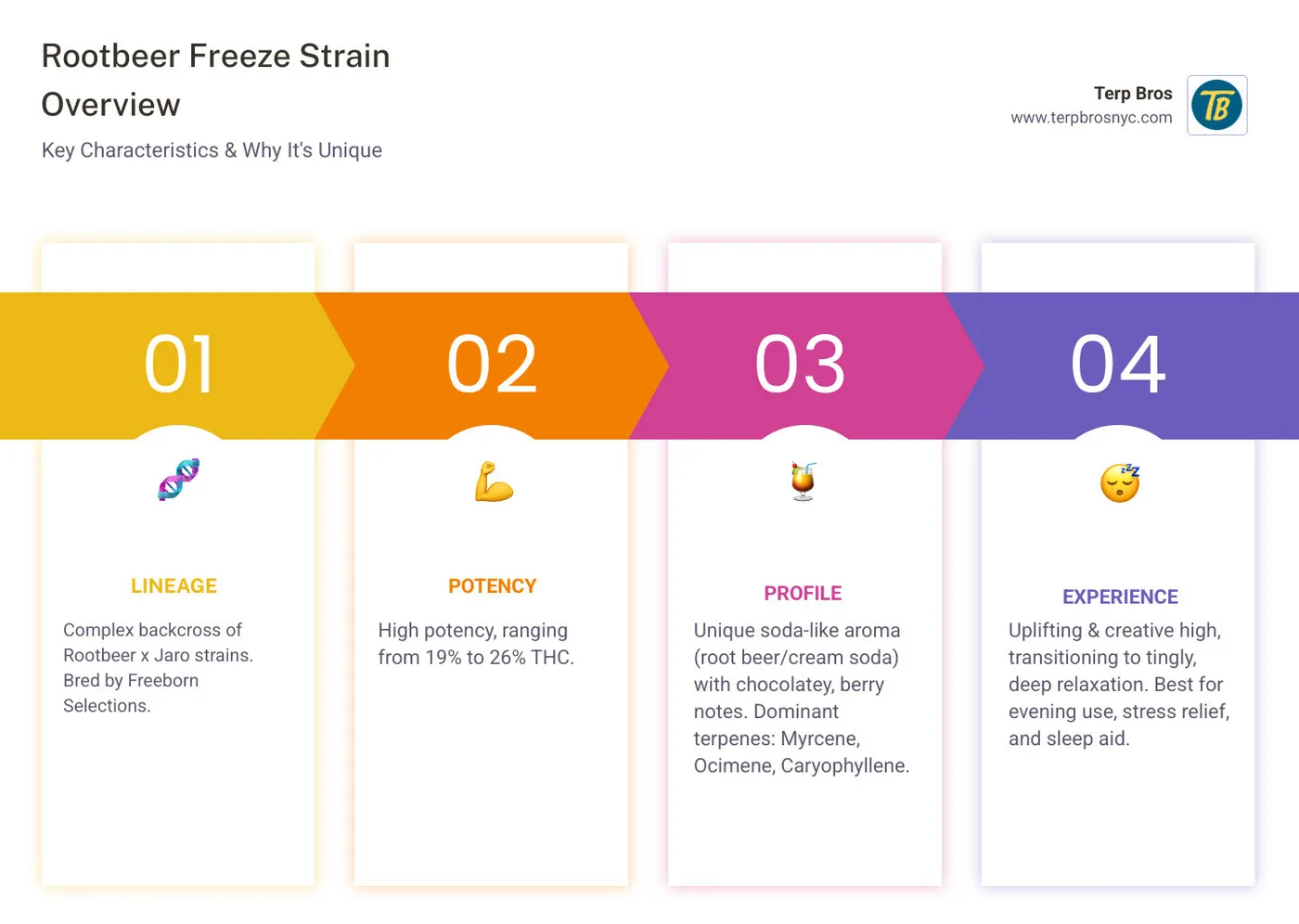 Comprehensive breakdown of Rootbeer Freeze strain characteristics including genetic lineage from Freeborn Selections, THC potency range of 19-26%, dominant terpene profile with Myrcene for relaxation and Ocimene for mood elevation, typical effects progression from creative uplift to deep physical relaxation, and optimal use cases for evening consumption and sleep aid - rootbeer freeze strain infographic pillar-4-steps