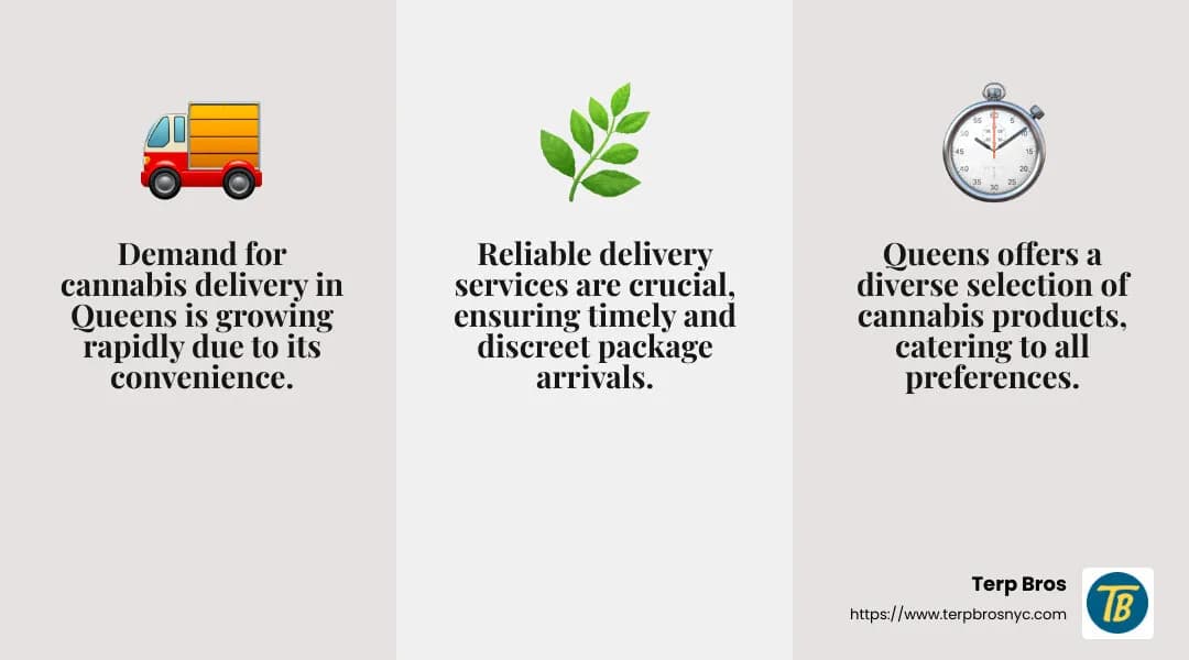 Trends in cannabis delivery - Cannabis delivery Queens infographic 3_facts_emoji_grey