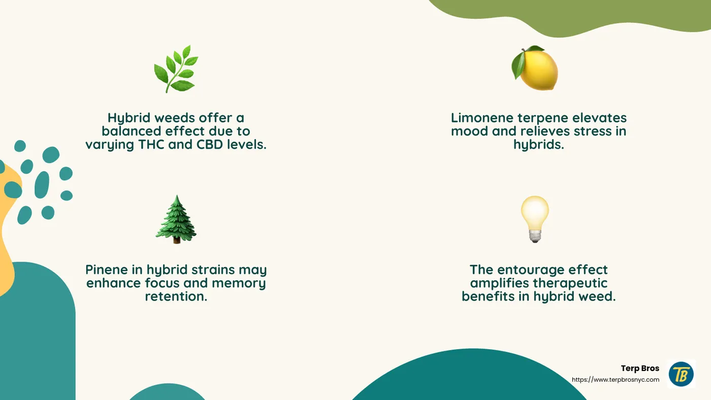 Terpenes and their effects - hybrid weed infographic 4_facts_emoji_nature