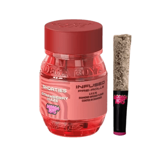 Bodega Boyz Shorties Strawberry Haze infused preroll 5-pack jar