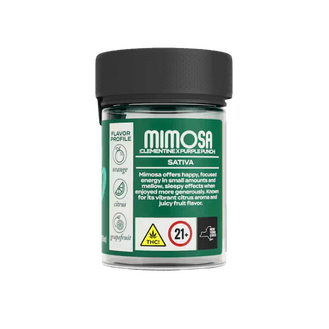 Herb Mimosa sativa cannabis flower eighth jar at Terp Bros Astoria