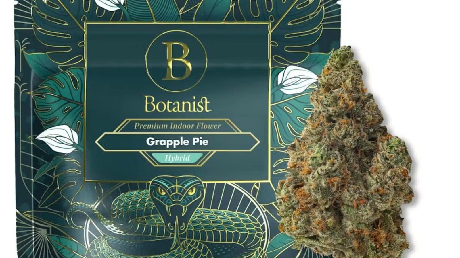 Oysters & Ounces: A Terp Bros Newsletter