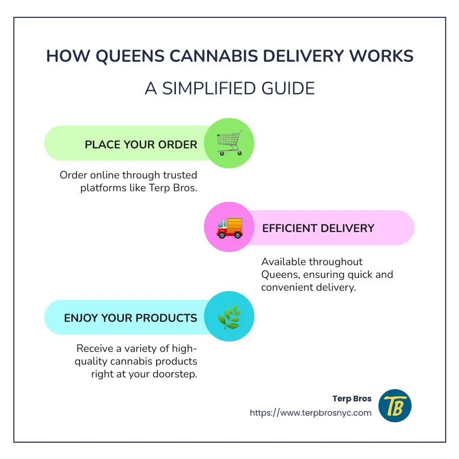 Overview of Queens cannabis delivery services, coverage, and products - Queens cannabis delivery infographic infographic-line-3-steps-colors