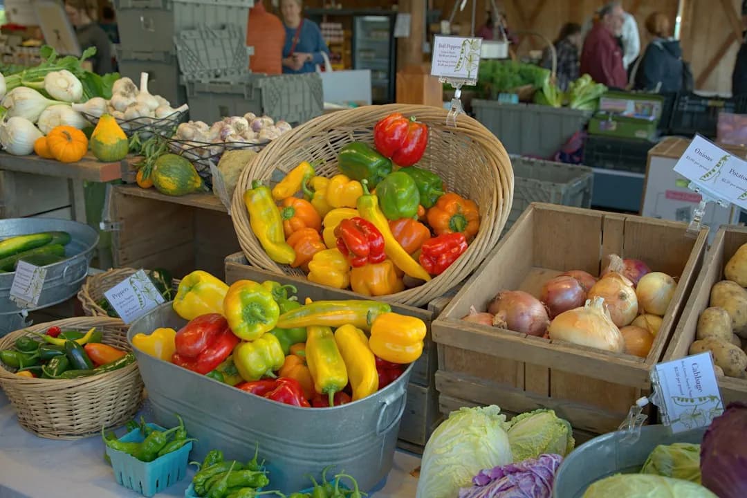 organic vegetables at Golden Acres - farms in riverhead