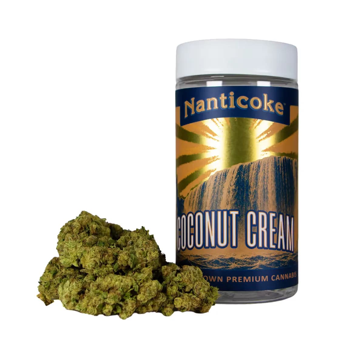 A Nanticoke Coconut Cream flower jar with a gold and navy waterfall label beside a pile of green buds, now by the ounce at Terp Bros Astoria