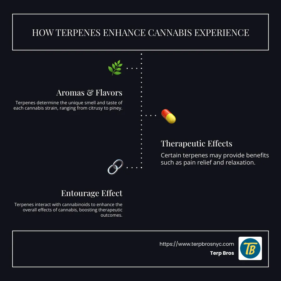 Infographic on how terpenes affect cannabis experience, including aroma, flavor, therapeutic benefits and synergy with cannabinoids - Cannabis terpenes explained infographic infographic-line-3-steps-dark