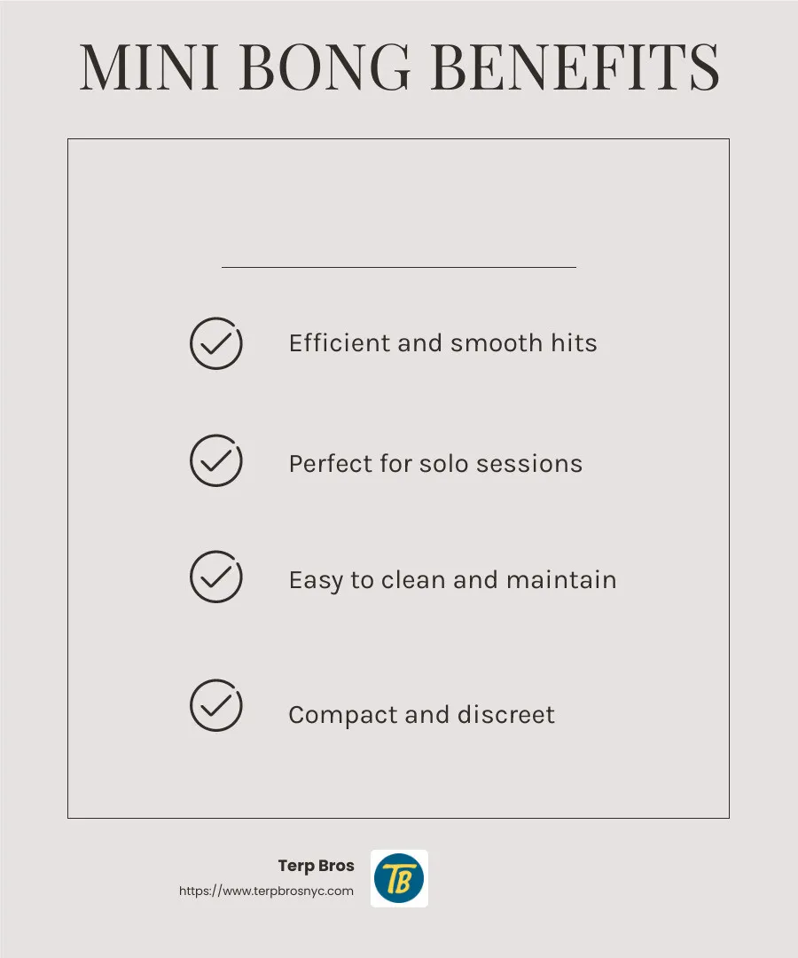 Efficiency and Ease of Use of Mini Bongs - mini bong infographic checklist-light-beige