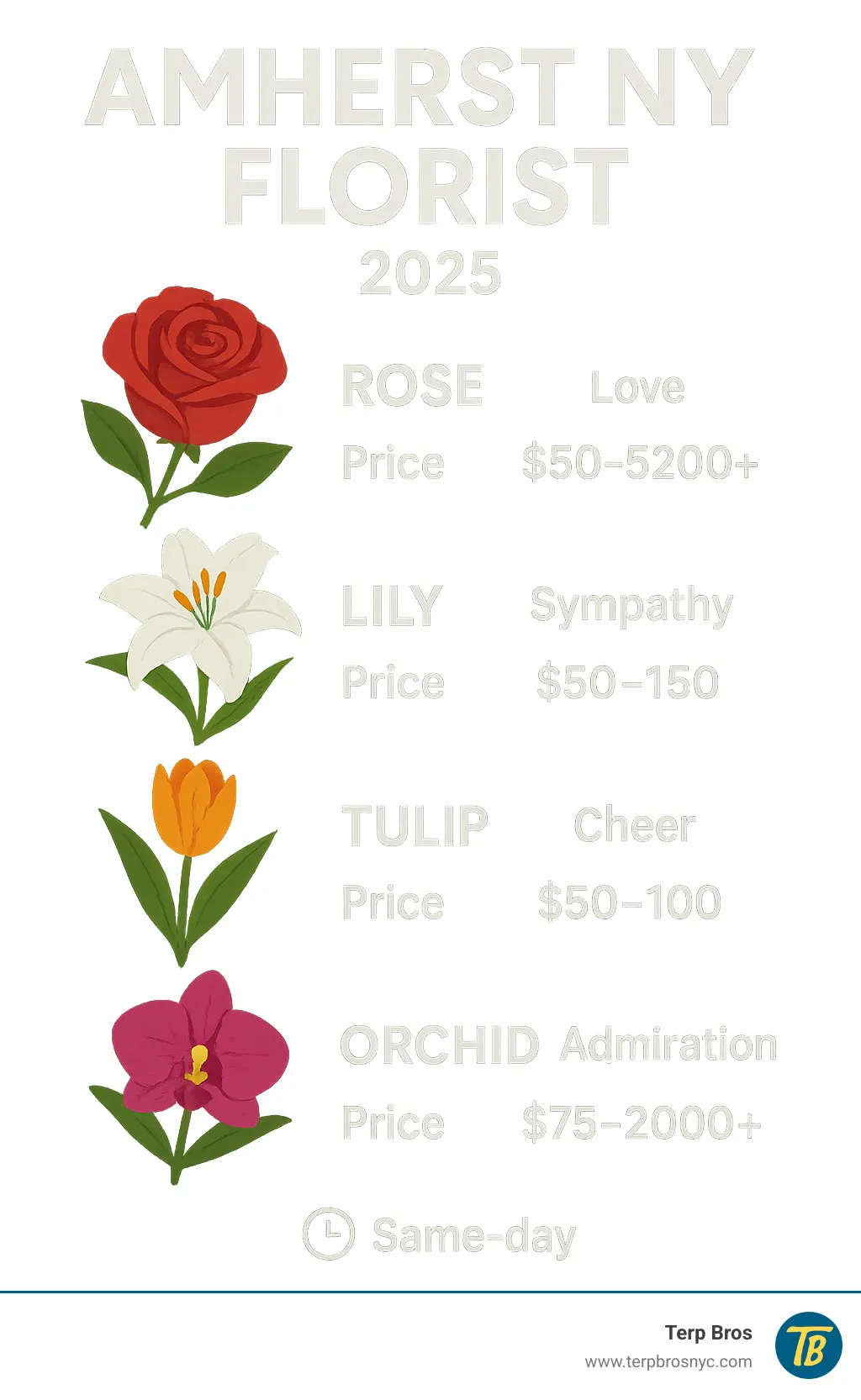 Infographic showing different flower types, their meanings, typical price ranges from $50-200+, and delivery timeframes for same-day service in Queens NY - queens ny florist infographic