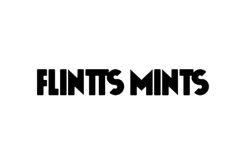 FLINTTS logo