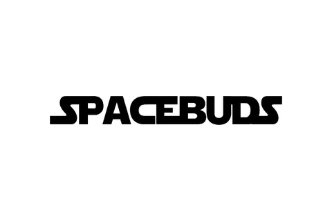 SpaceBuds MoonRocks logo